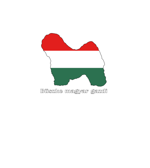  minta türkiz pólón