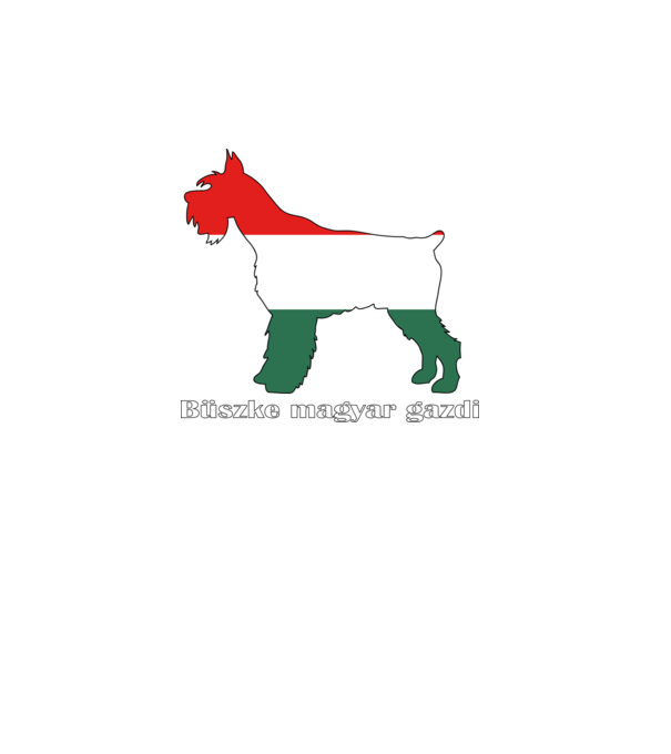 minta türkiz pólón