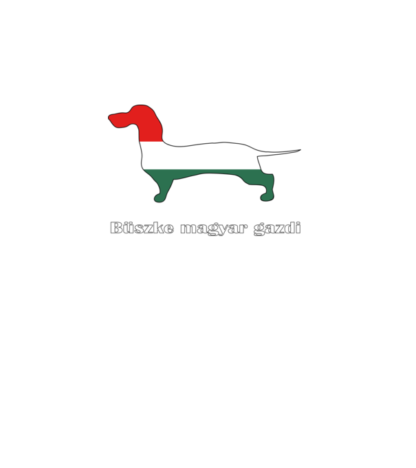  minta türkiz pólón