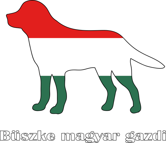 Magyar labrador