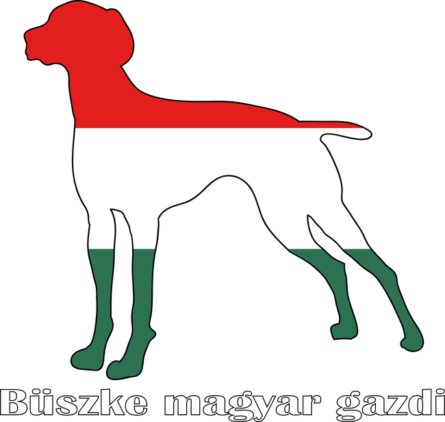 Magyar Vizsla