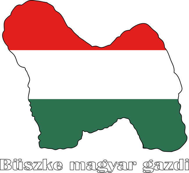 Magyar Puli
