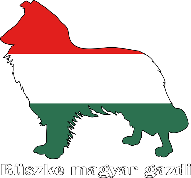 Magyar Skót Juhászkutya