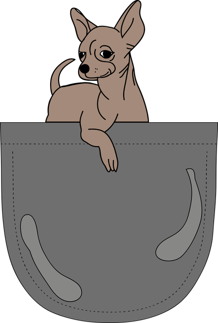 Zsebben csivava