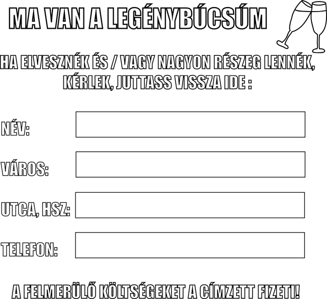 Elvesztem - legénybúcsús
