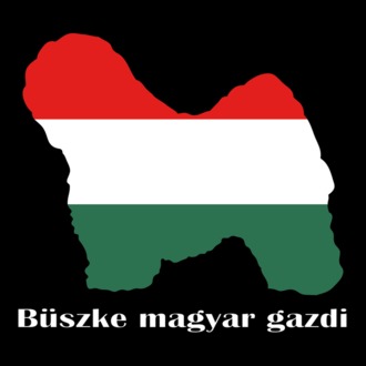 Magyar Puli