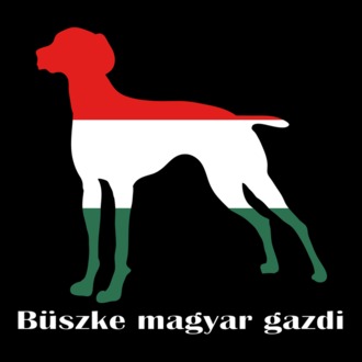 Magyar Vizsla