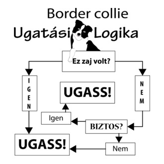 Ugatási logika - Border collie