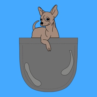 Zsebben csivava